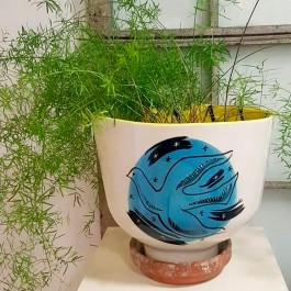 Hogweed Pots & Prints