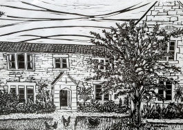 Hogweed Pots & Prints